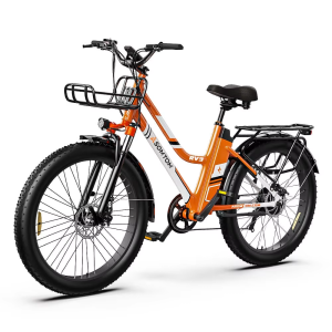Bicicleta eléctrica para adultos rv3