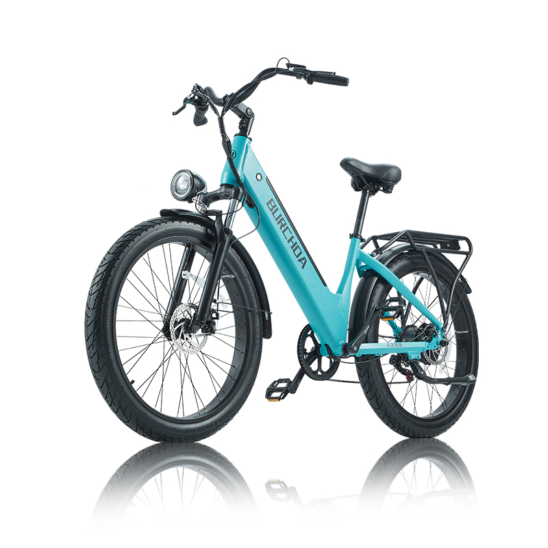 snow e bikes 
